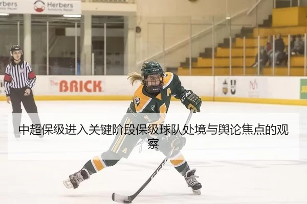 中超保级进入关键阶段保级球队处境与舆论焦点的观察